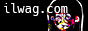 ilwagbannersmol